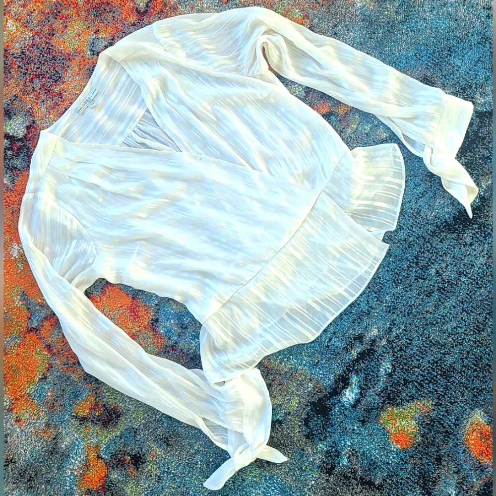 Shimmery Guess V-Cut Blouse